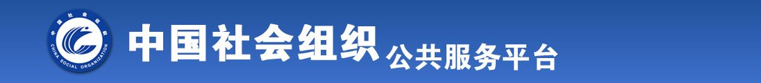 jj插B视频全国社会组织信息查询